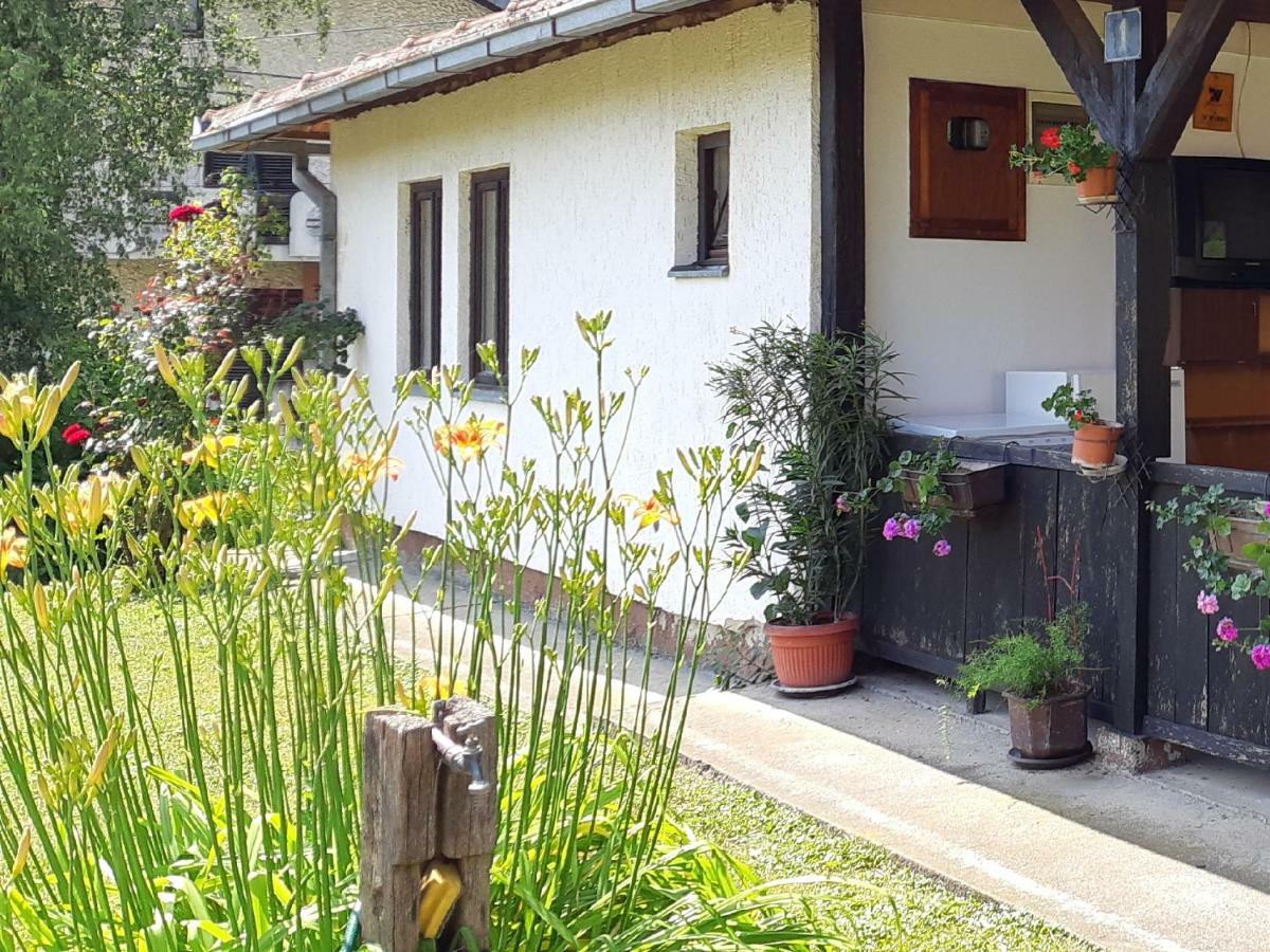 Apartman Kucica Za Odmor , Draskovic Vrnjačka Banja Exterior foto